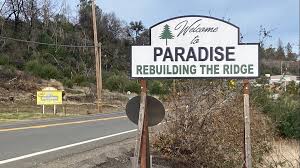 paradise mayor hopes 1 3 repotion