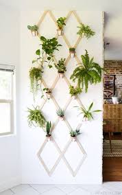 80 ways to decorate home with plants