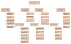 Organizational Chart Software Create Organizational Chart