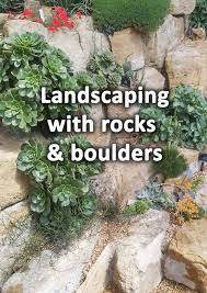 Tips Ideas For Landscaping With Rocks