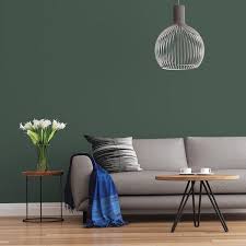 Dark Green Velvet Matte Interior Paint