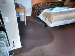 wet carpet in bedroom from toilet