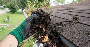 The 10 Best Gutter Cleaning Services