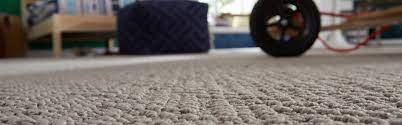 carpet cleaners in lexington cky