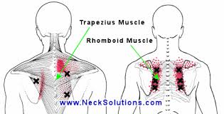 pain between shoulder blades causes