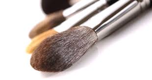 anofude anese makeup brushes