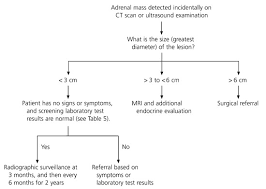 Evaluation Of Incidental Renal And Adrenal Masses American