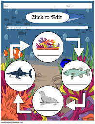 food chain and web worksheets free