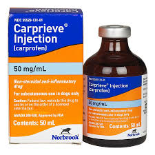 Carprieve 5 W V Small Animal Solution For Injection 20ml