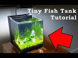 tiny fish tank tutorial low budget