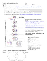 Mitosis And Meiosis Webquest