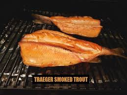 traeger grill smoked trout the