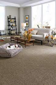 tuftex stainmaster carpet
