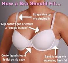Figuring Out Your Right Bra Size At Home Shortcuts To Life