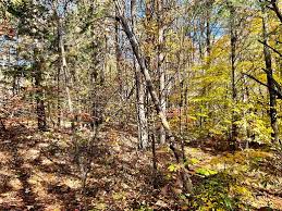 15 1 Acres Of Recreational Land With