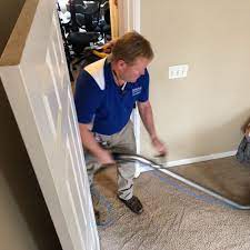 top 10 best carpet cleaning in columbia