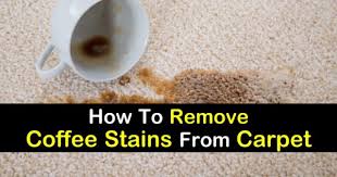 remove coffee stains from carpet