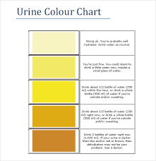 9 Sample Urine Color Charts Pdf