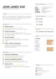 Contact information, personal statement, work experience, education, skills, additional information. What Is The Best Cv Format How To Write A Cv Cv Template