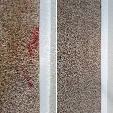 carpet stain removal basics