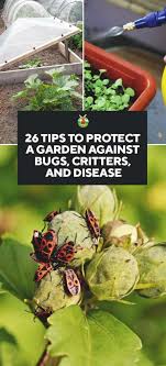 protect your garden against bugs