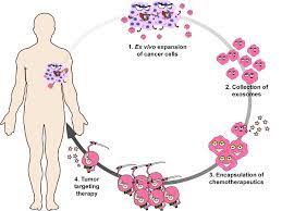 Theranostics gambar png