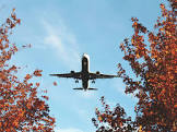 travel travel