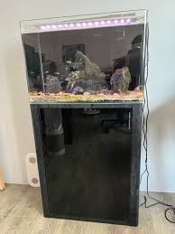 fish tank with cupboard aquarium free