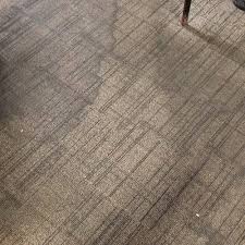 carpet cleaning in morgantown wv
