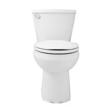 That way, you know it will fit as intended. American Standard Mainstream 4 8l Elongated Complete Toilet The Home Depot Canada