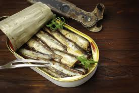 are sardines good during pregnancy