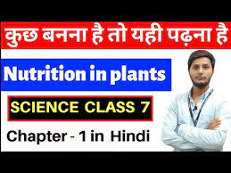 nutrition in plants cl 7 in hindi