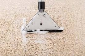eco steam master carpet cleaning
