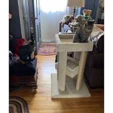 carpet wooden cat furniture for large cats