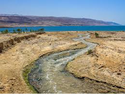 what is the dead sea the complete