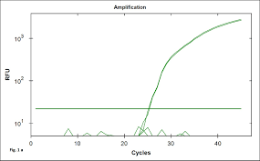 Sybr Green Real Time Pcr Assay For Detection Of The