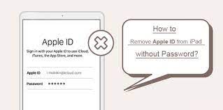 remove apple id from ipad without pword
