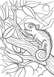 An extremely venomous pfeffer's flamboyant cuttlefish (metasepia pfefferi) has thrown out its seizing tentacles, panglao, philippines. Pin On Animal Coloring Pages