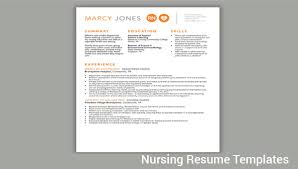 Free 8 Sample Nursing Resumes In Pdf Word Psd