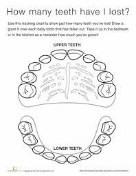 Tooth Chart Tooth Chart Science Worksheets Dental Kids