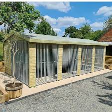 20 x 10 ft four bay dog kennel
