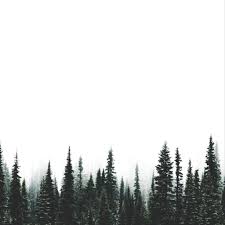 Find & download free graphic resources for white background. White Minimalism Aesthetic And Forest Image 6380455 On Favim Com