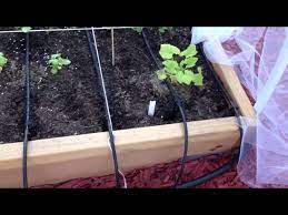 drip irrigation for square foot garden