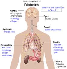 Image result for diabetes