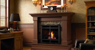 Glo Sl 550 Slim Line Gas Fireplace