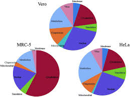 Forensic Proteomics Of Poxvirus Production Analyst Rsc