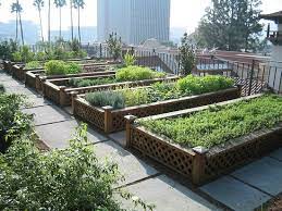 6 Types Of Urban Herb Gardens That Need