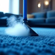 professional carpet cleaning in sydney