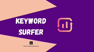 keyword surfer conoce cómo usar esta