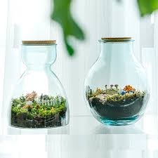 Vidrio Terrarium Glass Vase